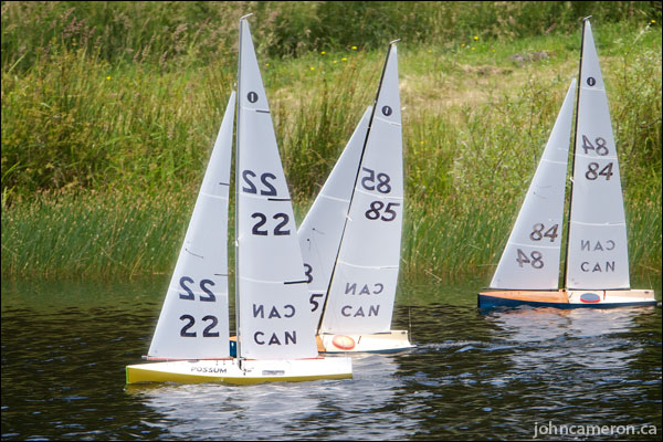 Salt Spring IOM