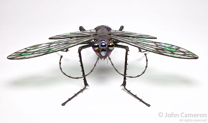 Sean Goddard bug Sean Goddard bug