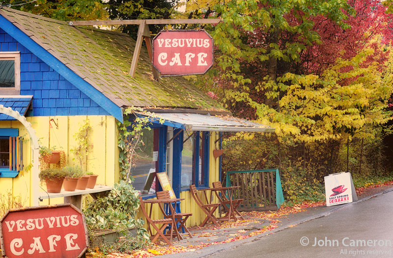 salt spring store