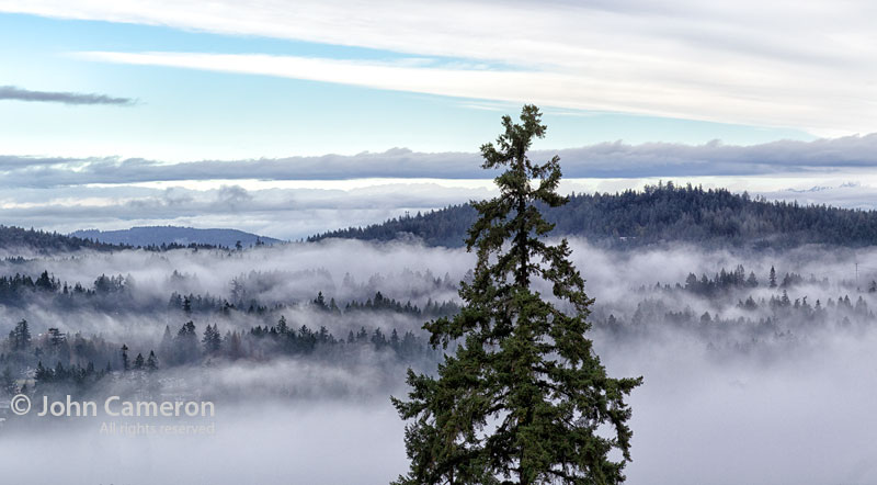 Fall day on Salt Spring by John Cameron
