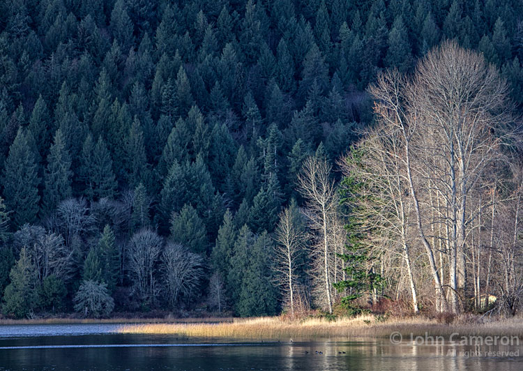 Winter Light on St. Mary Lake Winter Light on St. Mary Lake