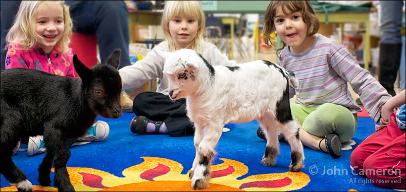 Kids in Kindergarten Kids in Kindergarten