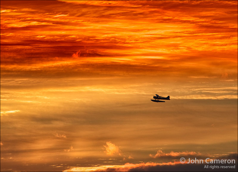 Dawn Flight from Salt Spring Island