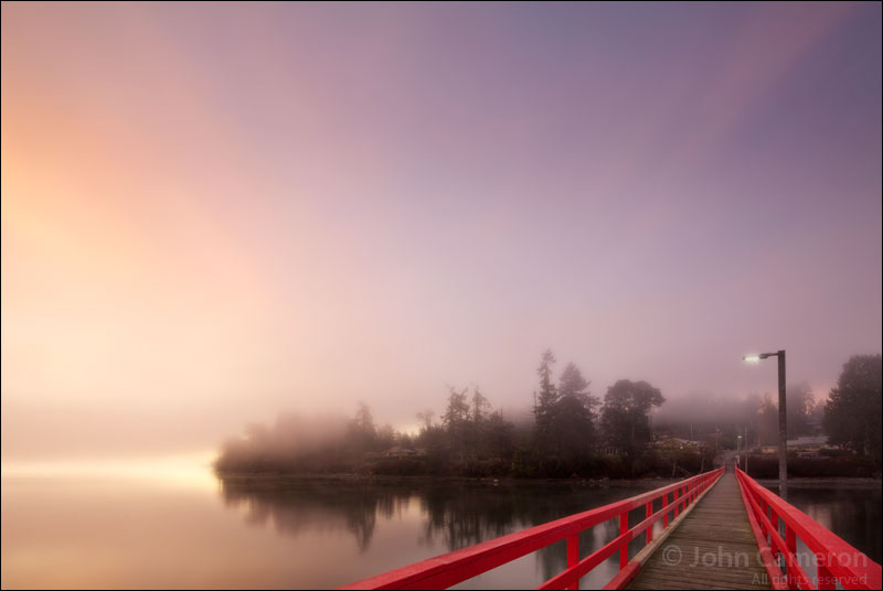Fernwood in the Fog at Sunrise