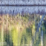 Frosty lake reflection on salt spring island