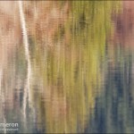 lake reflection on salt spring island