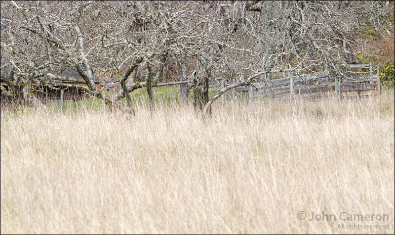 Waiting for Spring