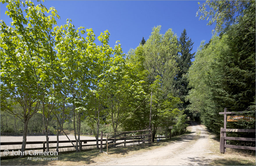 Another quintessential Salt Spring Driveway Another quintessential Salt Spring Driveway