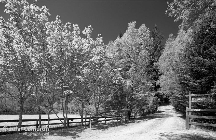 Quintessential Salt Spring Driveway in black and white Quintessential Salt Spring Driveway in black and white